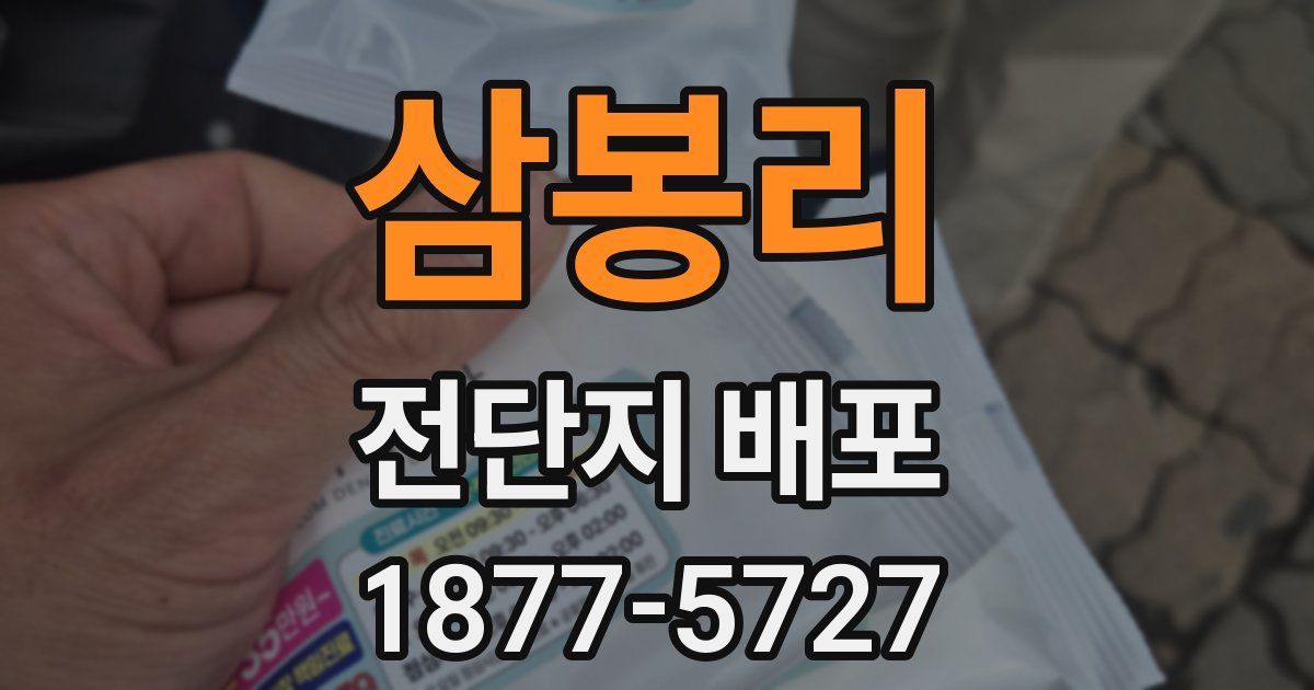 삼봉리 전단지 배포