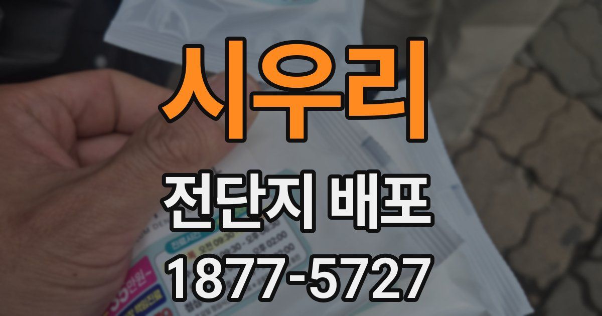 시우리 전단지 배포