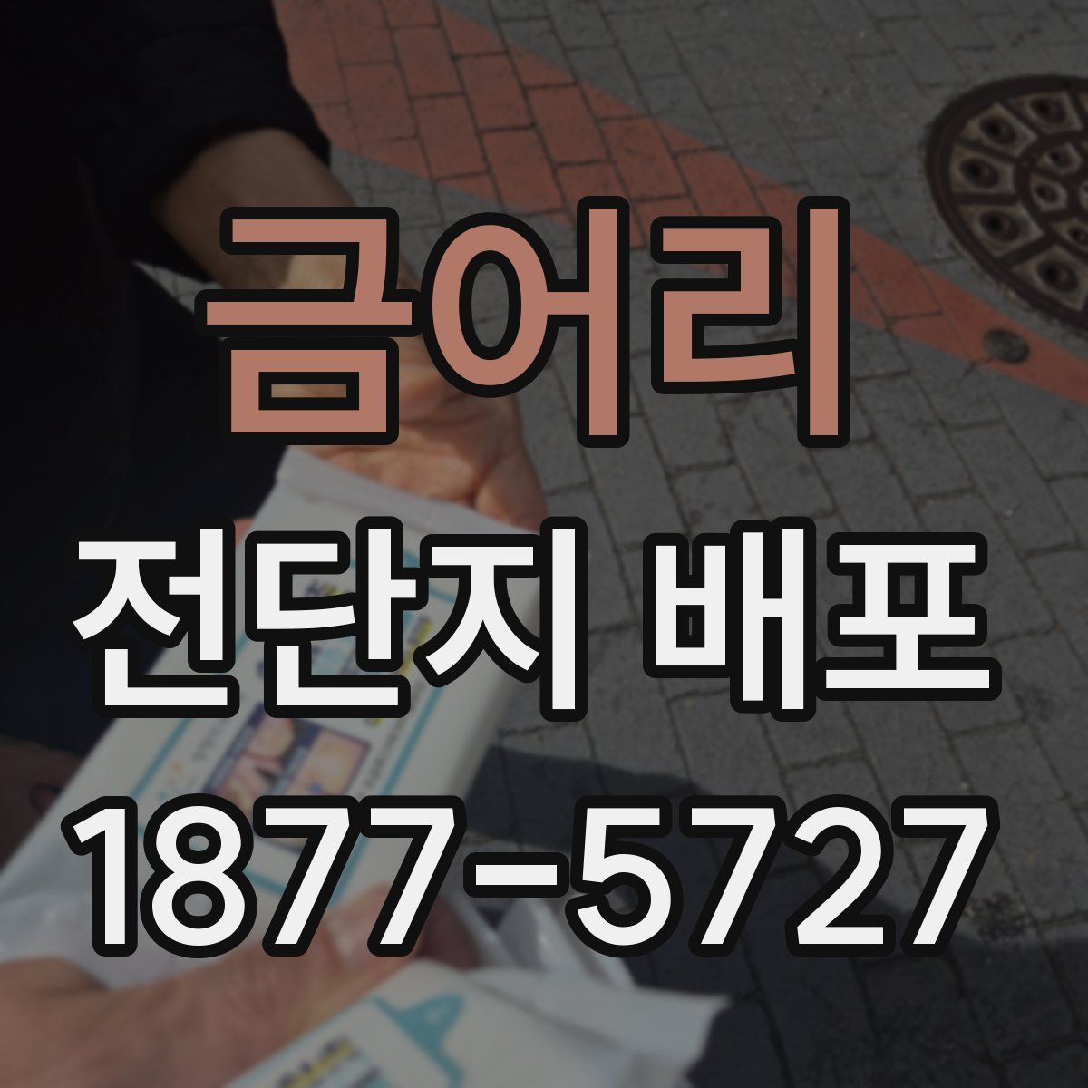 금어리 전단지 배포