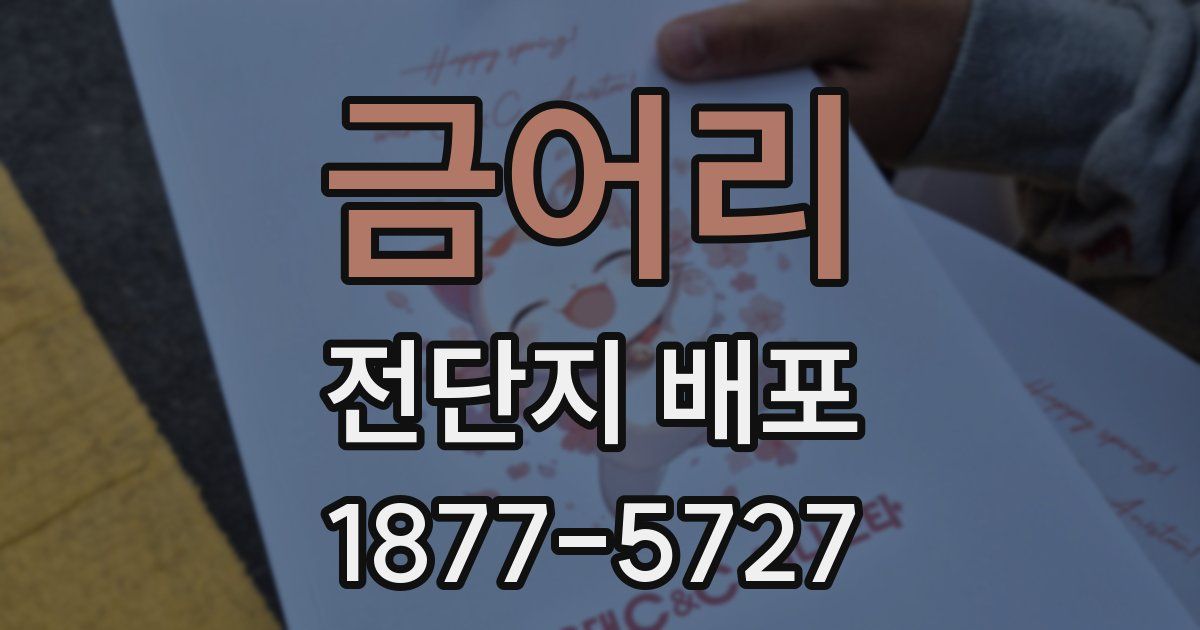 금어리 전단지 배포