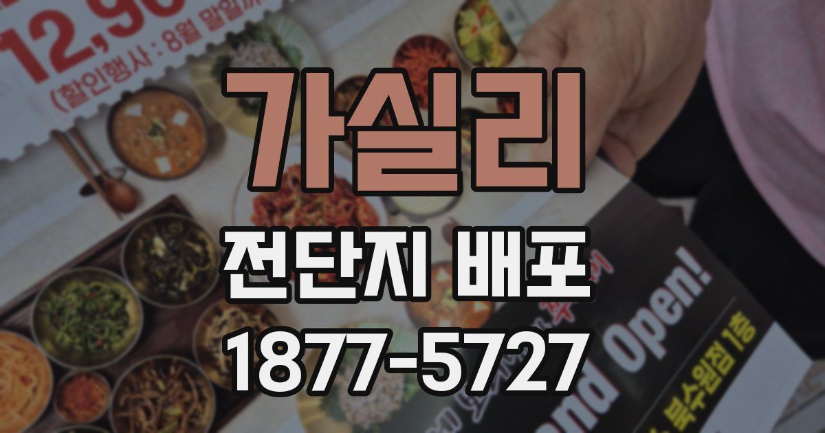 가실리 전단지 배포