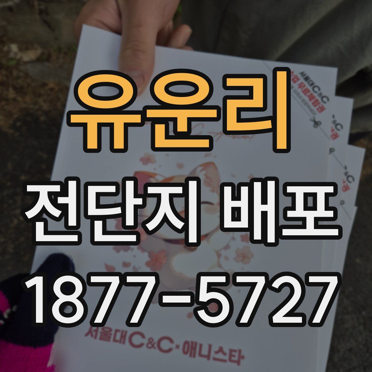 유운리 전단지 배포