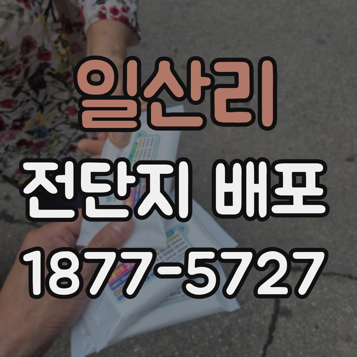 일산리 전단지 배포