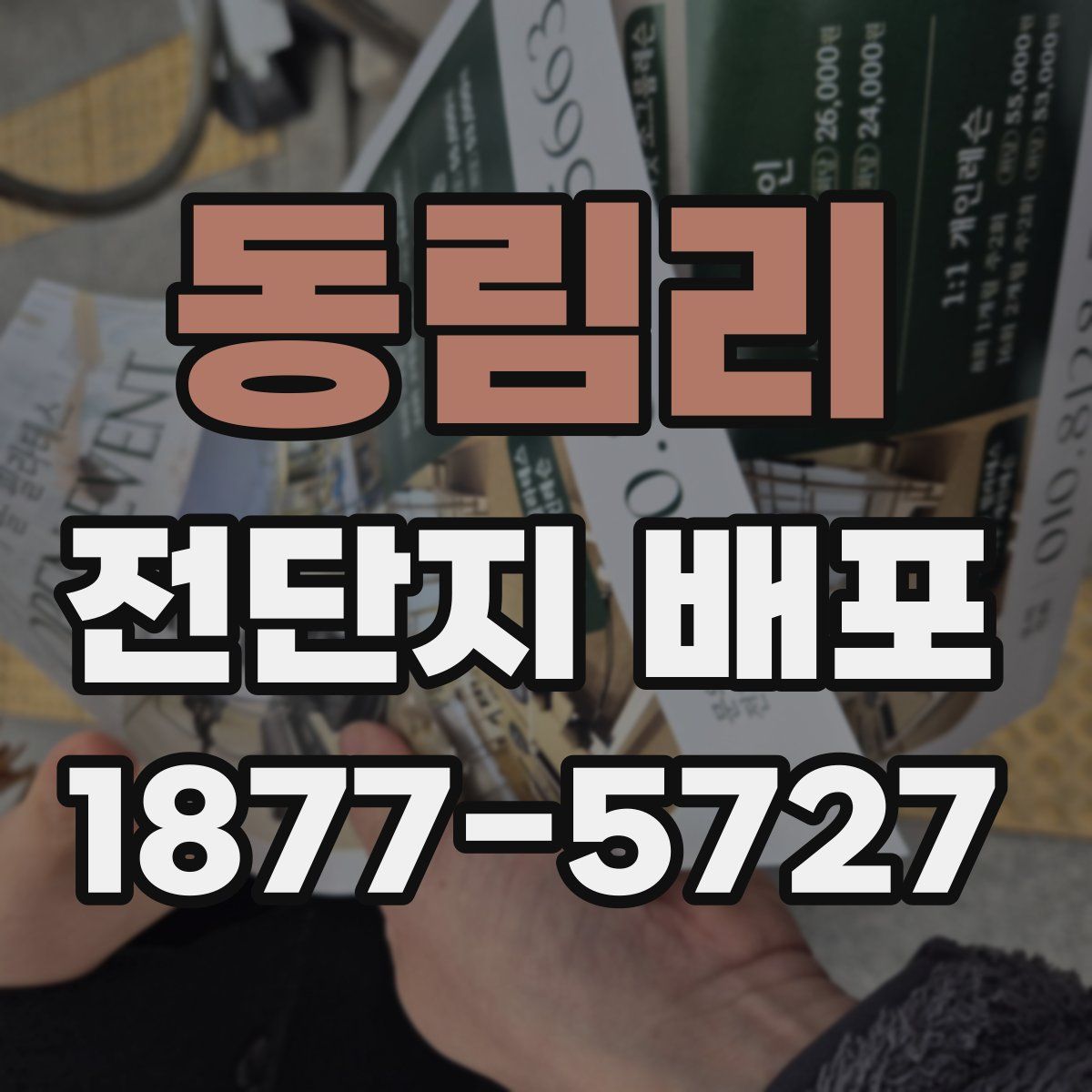 동림리 전단지 배포