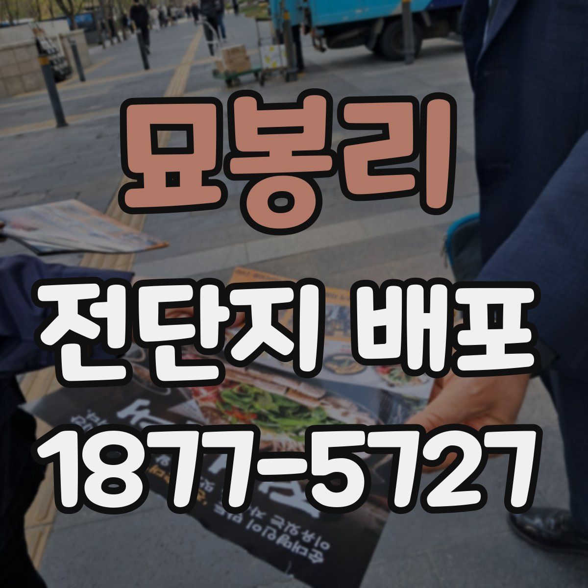 묘봉리 전단지 배포