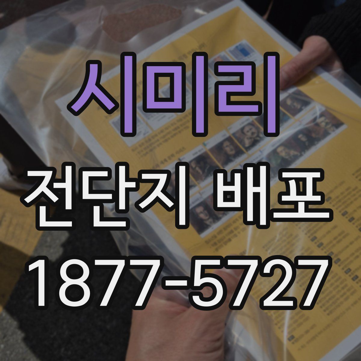 시미리 전단지 배포