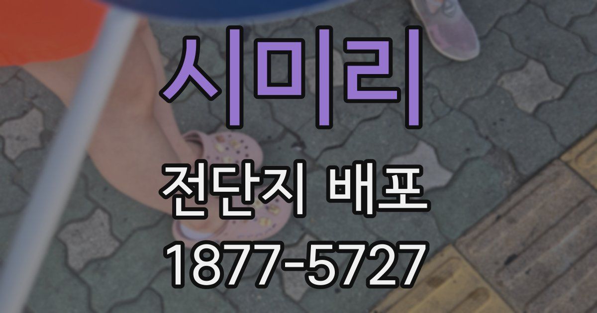시미리 전단지 배포