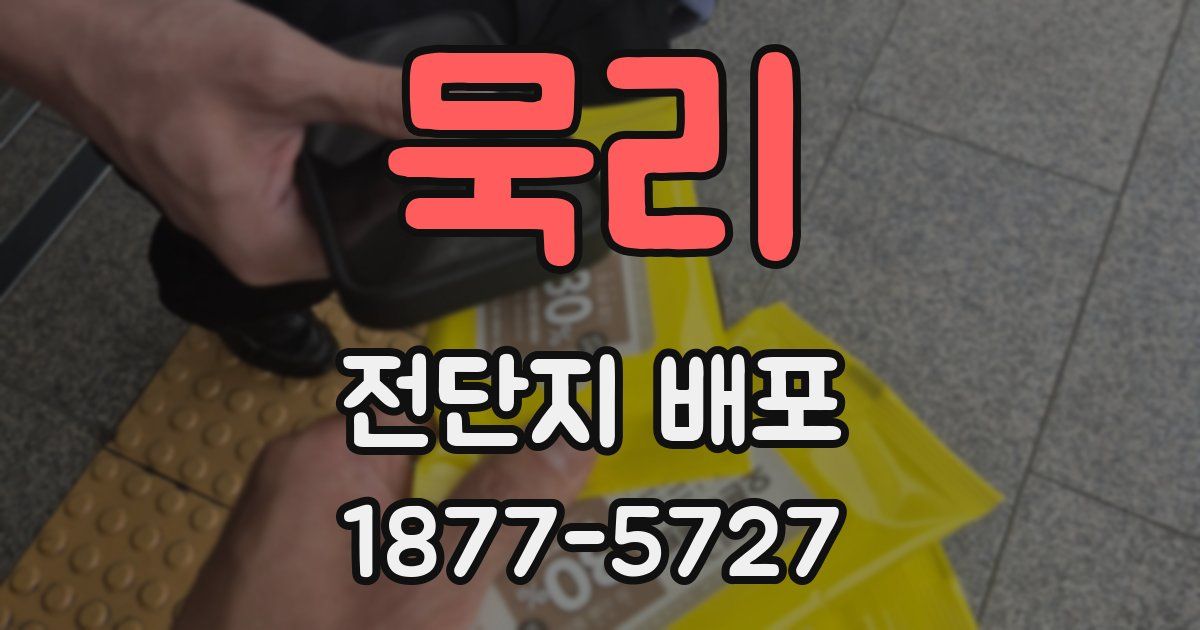 묵리 전단지 배포