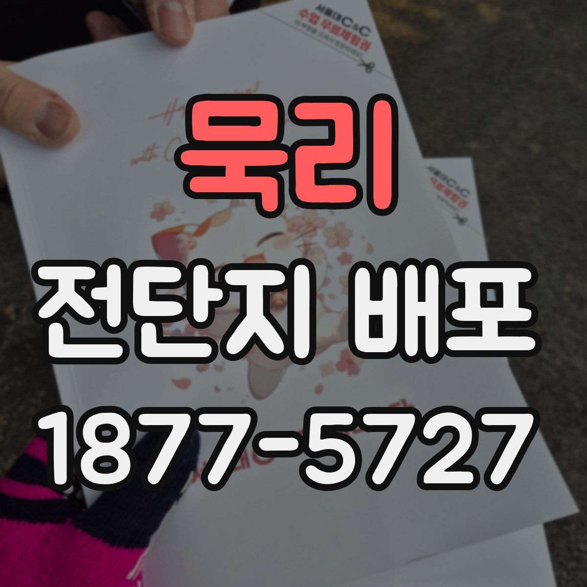묵리 전단지 배포