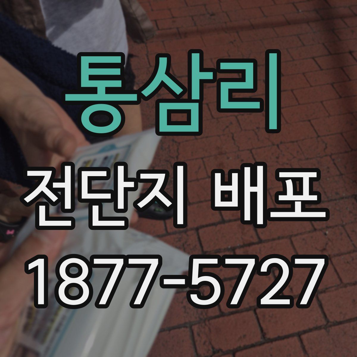 통삼리 전단지 배포