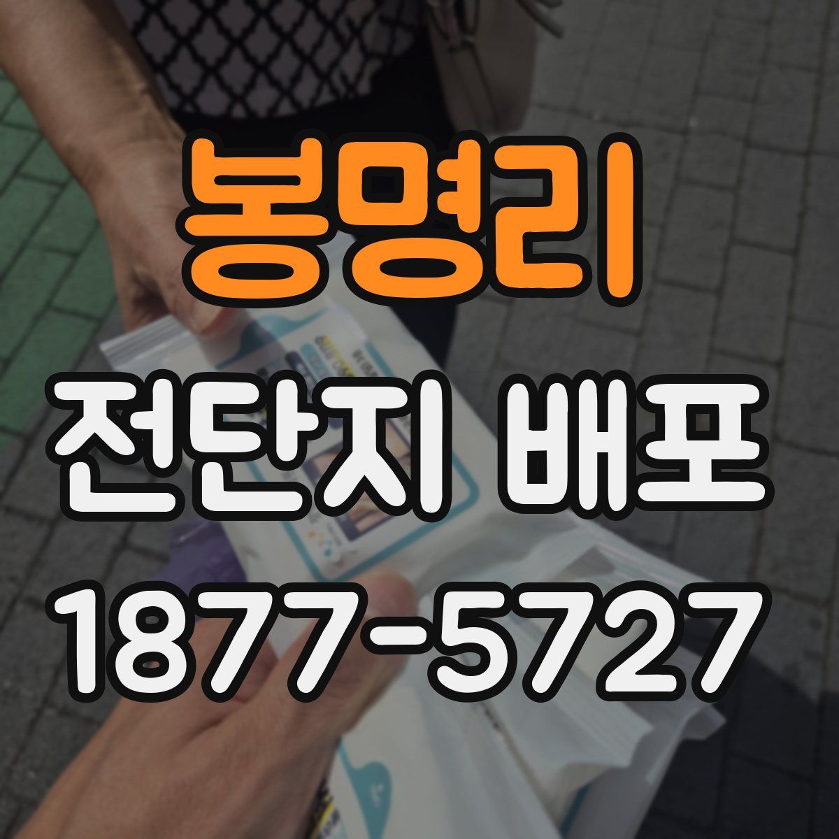 봉명리 전단지 배포