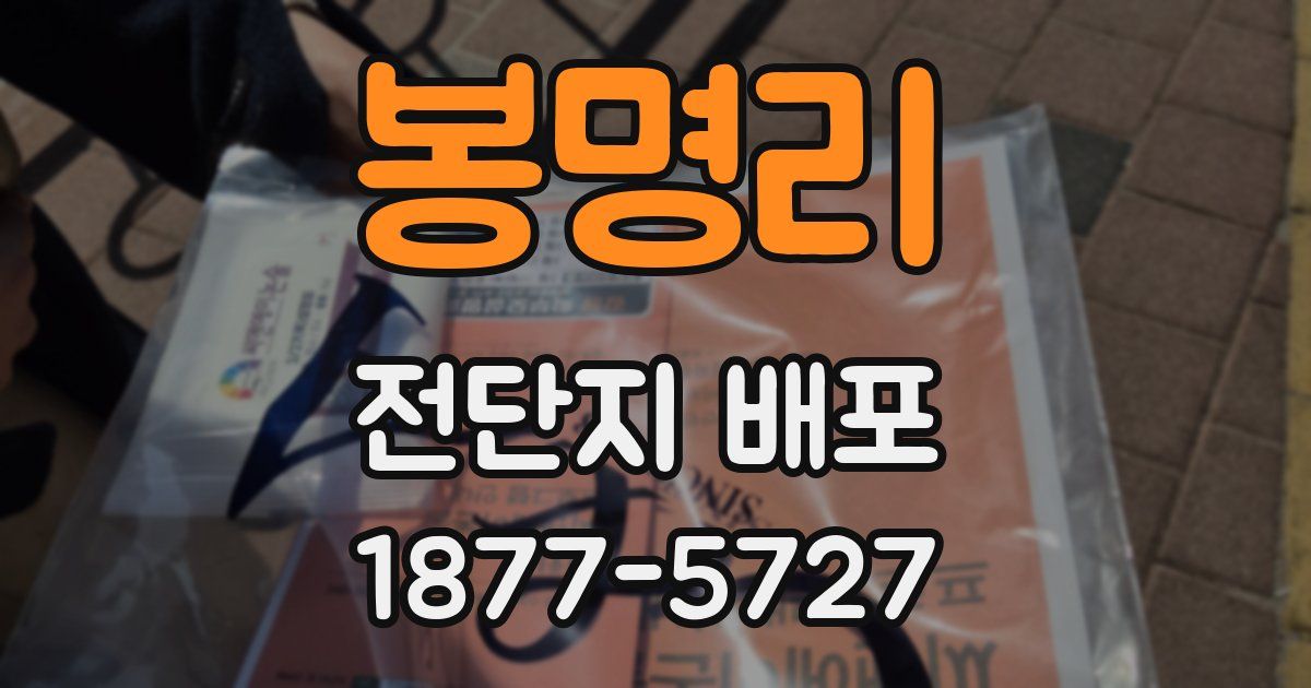 봉명리 전단지 배포
