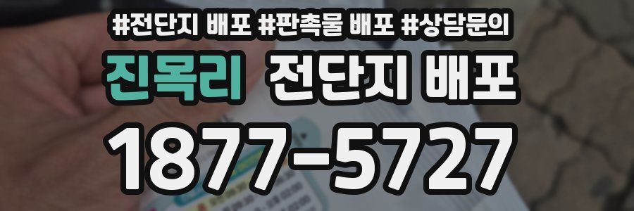 진목리 전단지 배포