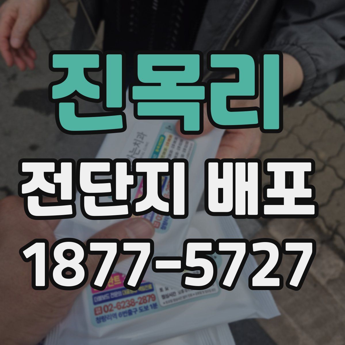진목리 전단지 배포