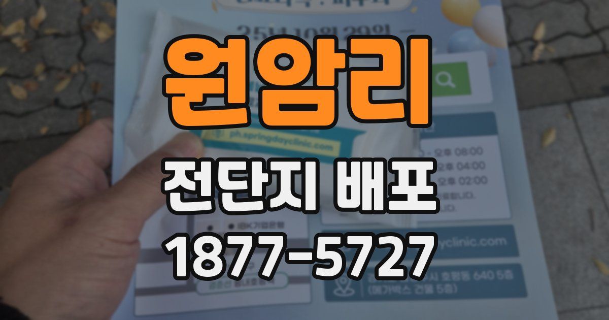 원암리 전단지 배포