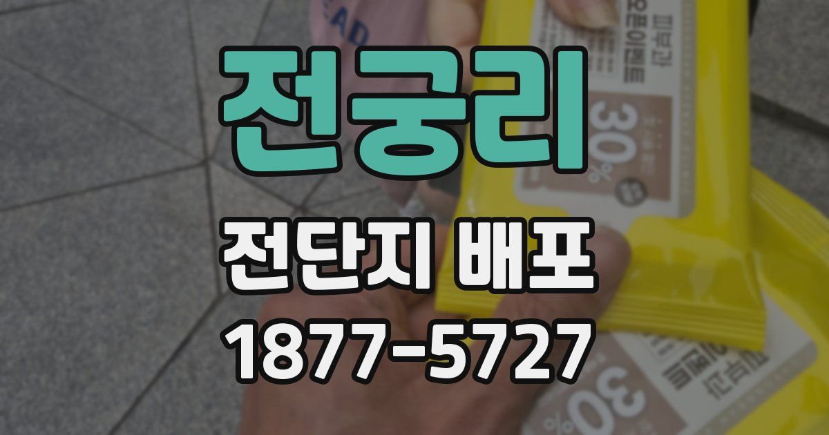 전궁리 전단지 배포