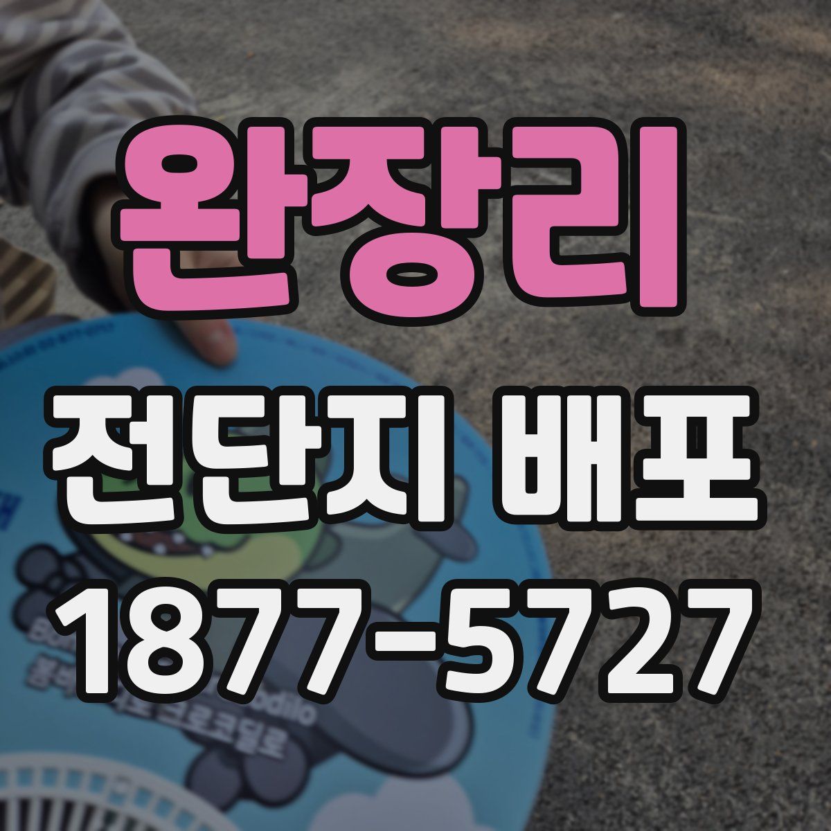 완장리 전단지 배포
