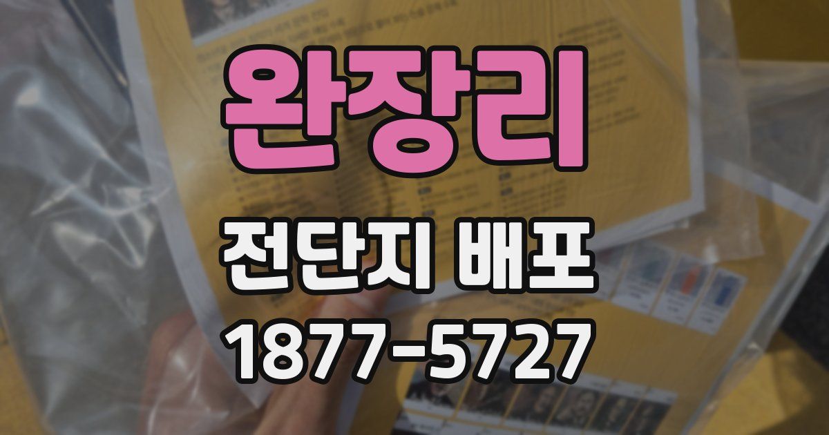 완장리 전단지 배포