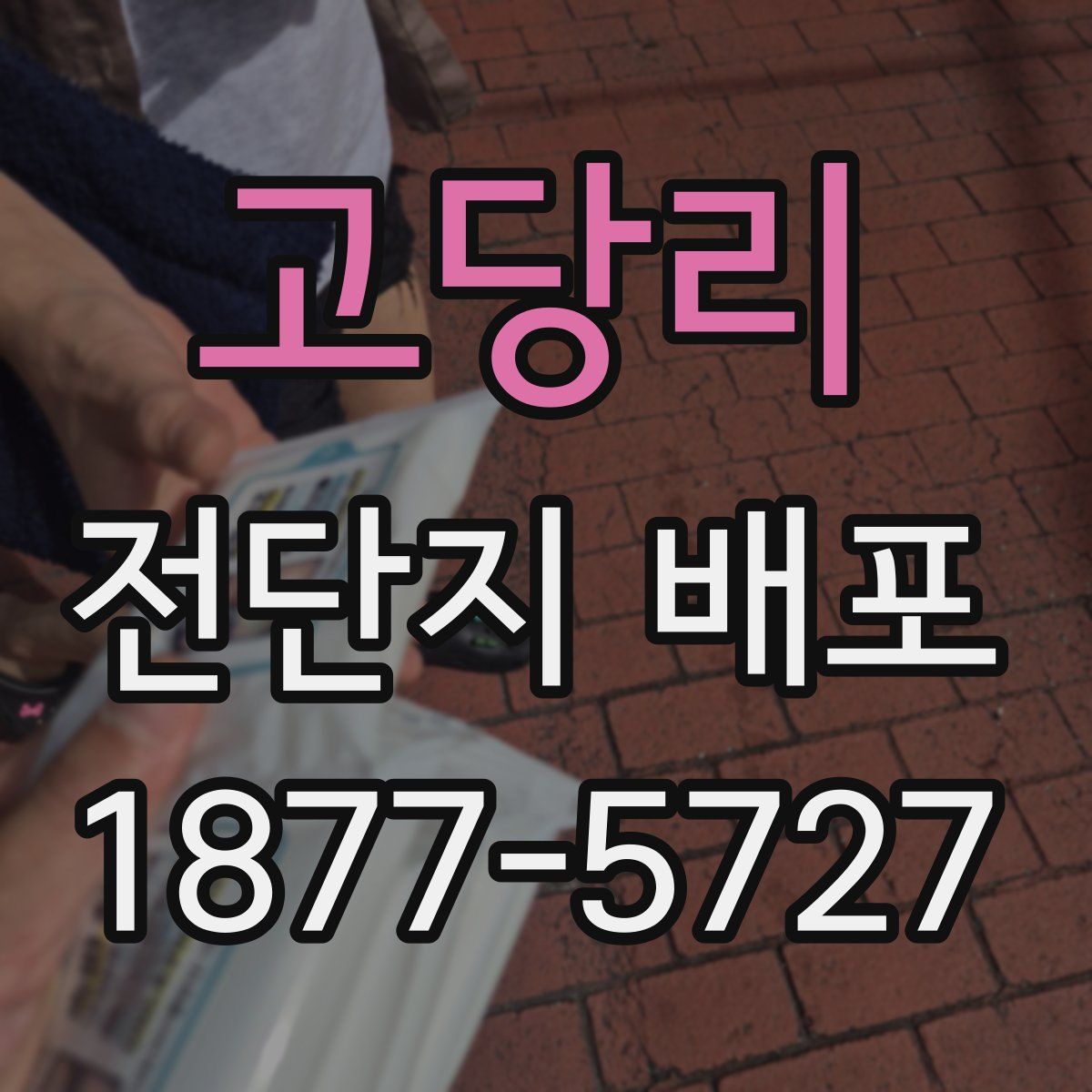 고당리 전단지 배포