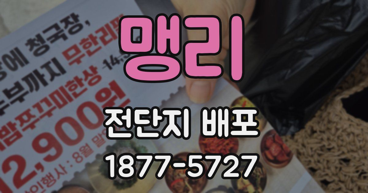맹리 전단지 배포