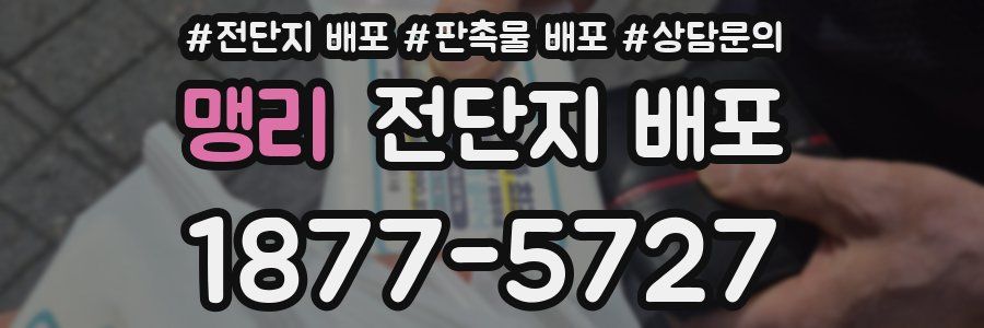 맹리 전단지 배포
