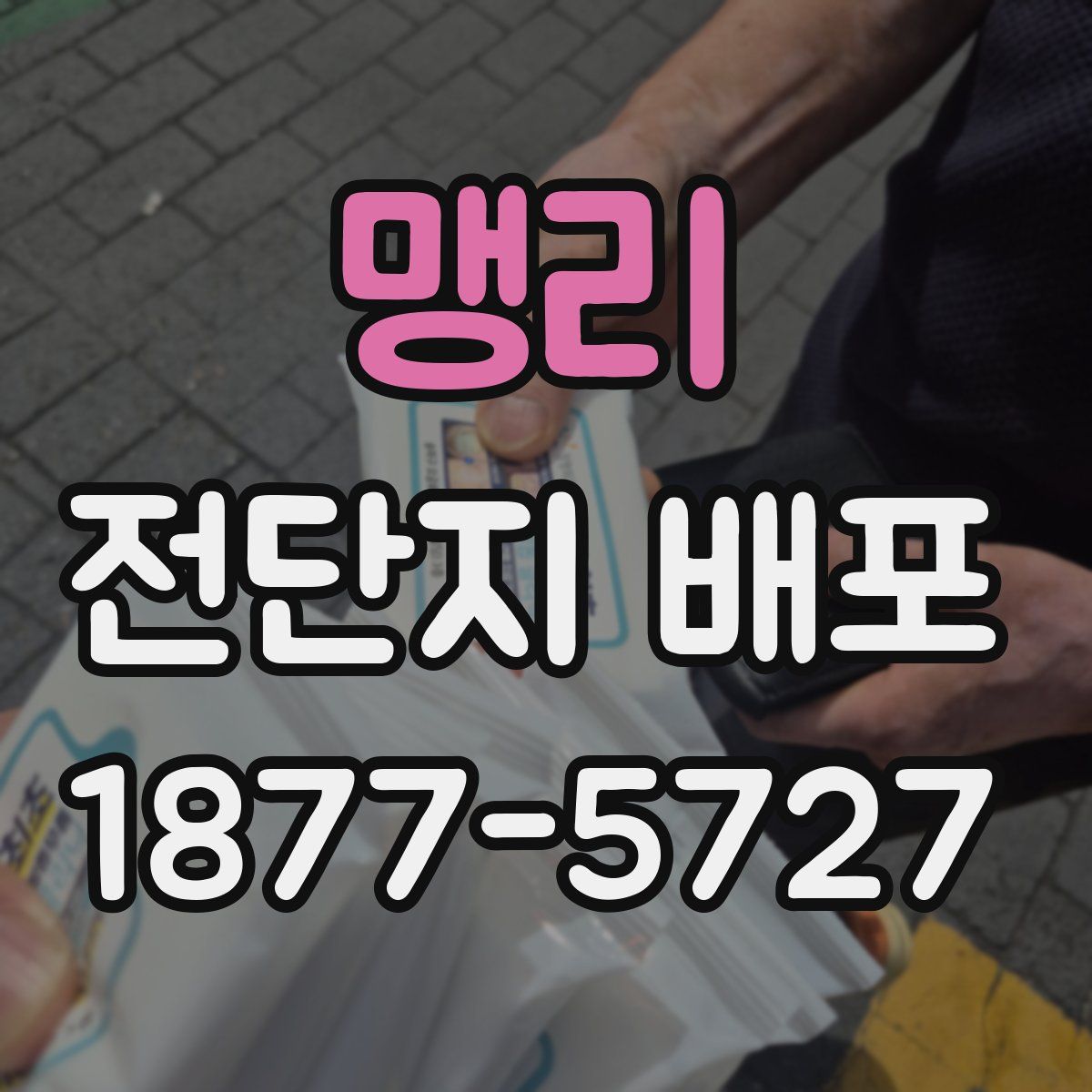 맹리 전단지 배포