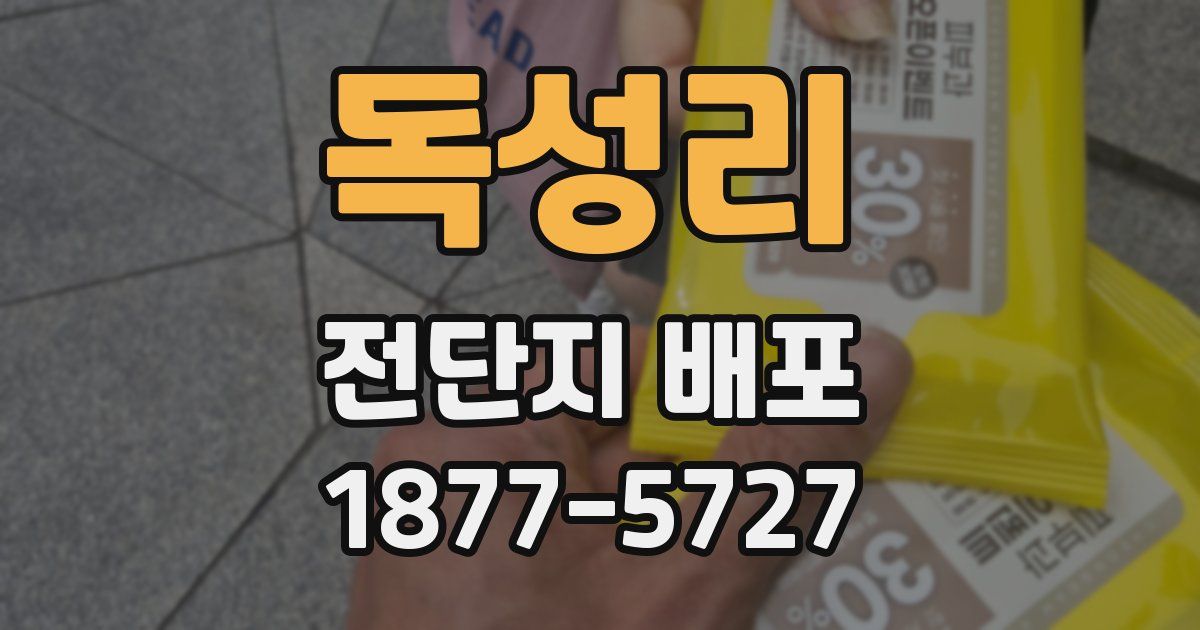 독성리 전단지 배포