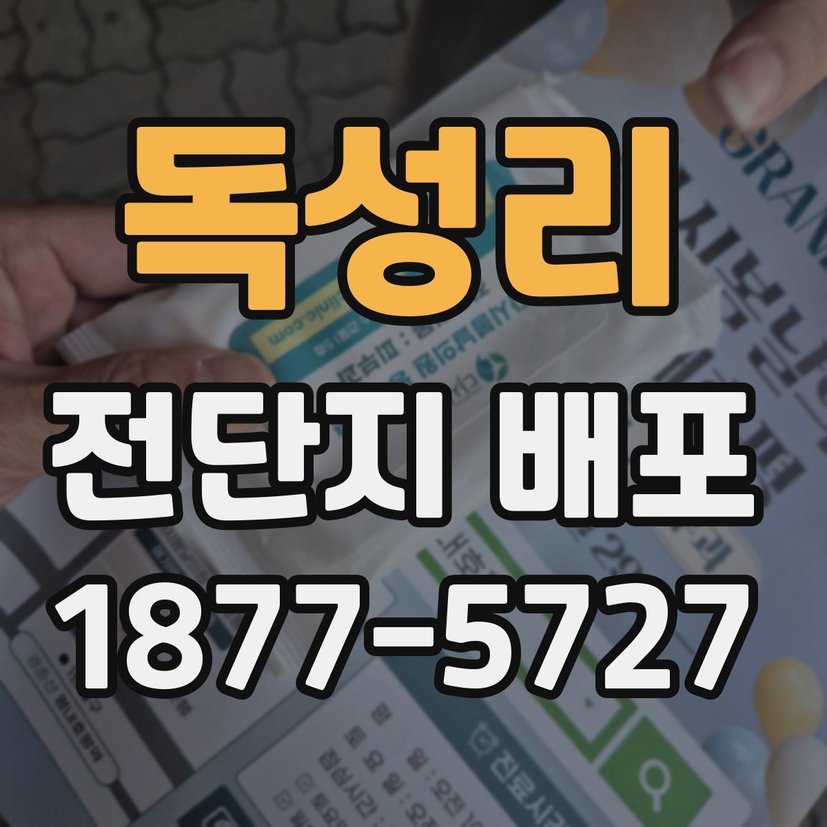 독성리 전단지 배포
