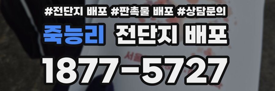 죽능리 전단지 배포