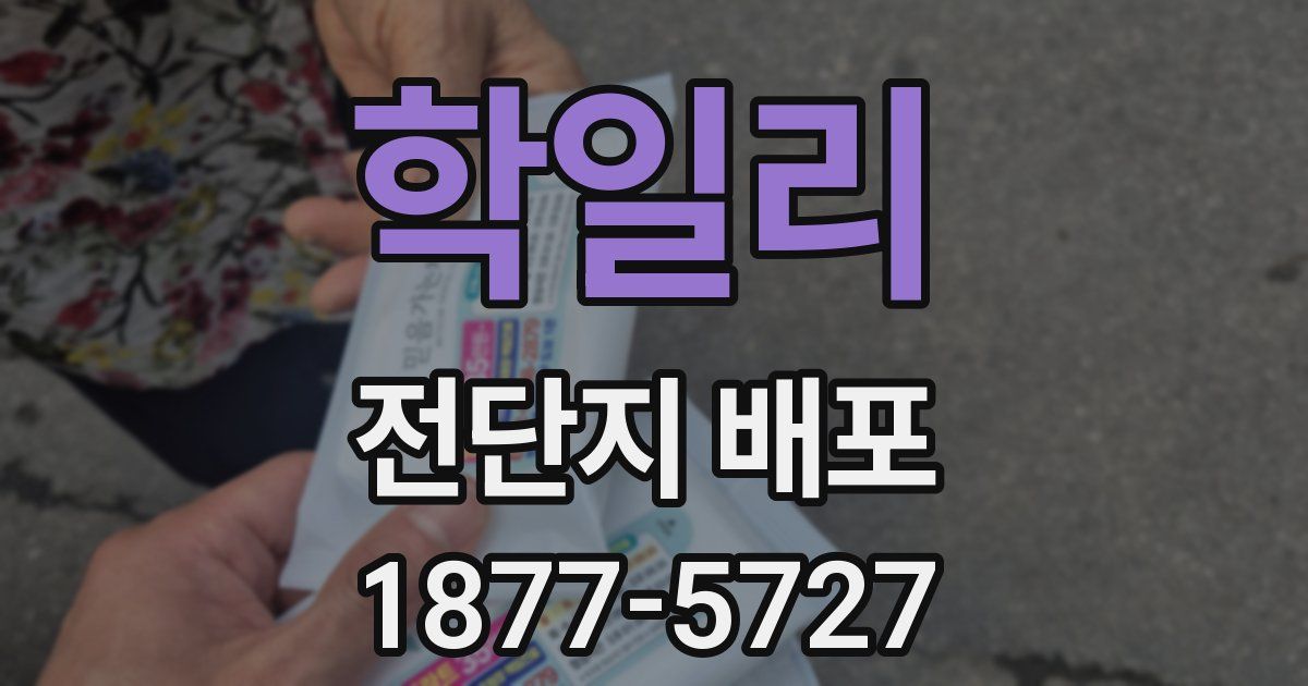 학일리 전단지 배포