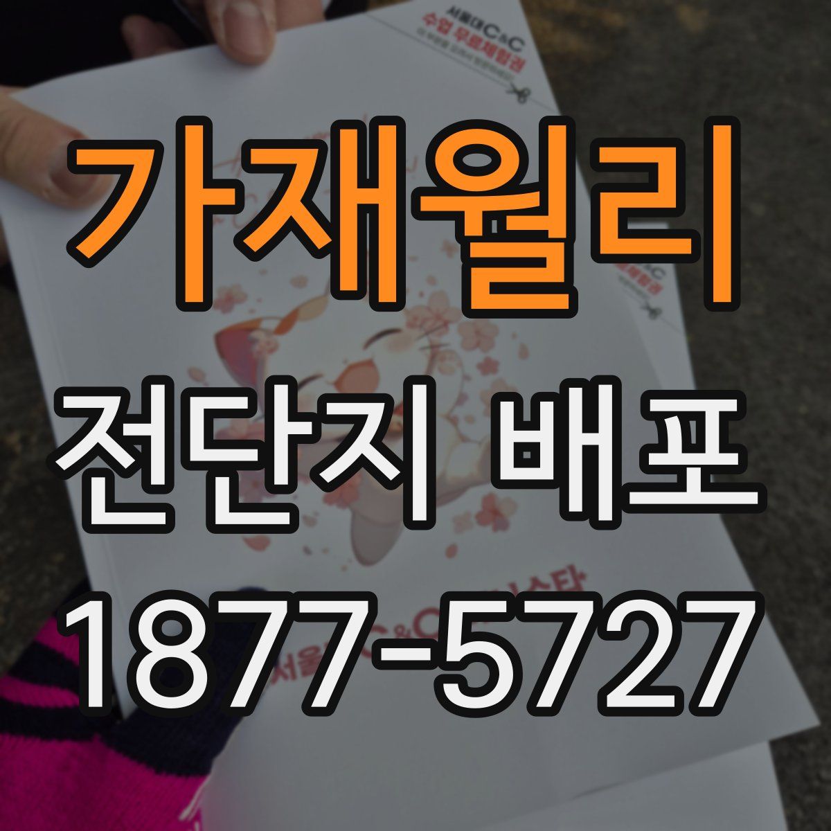 가재월리 전단지 배포
