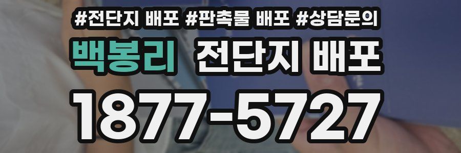 백봉리 전단지 배포