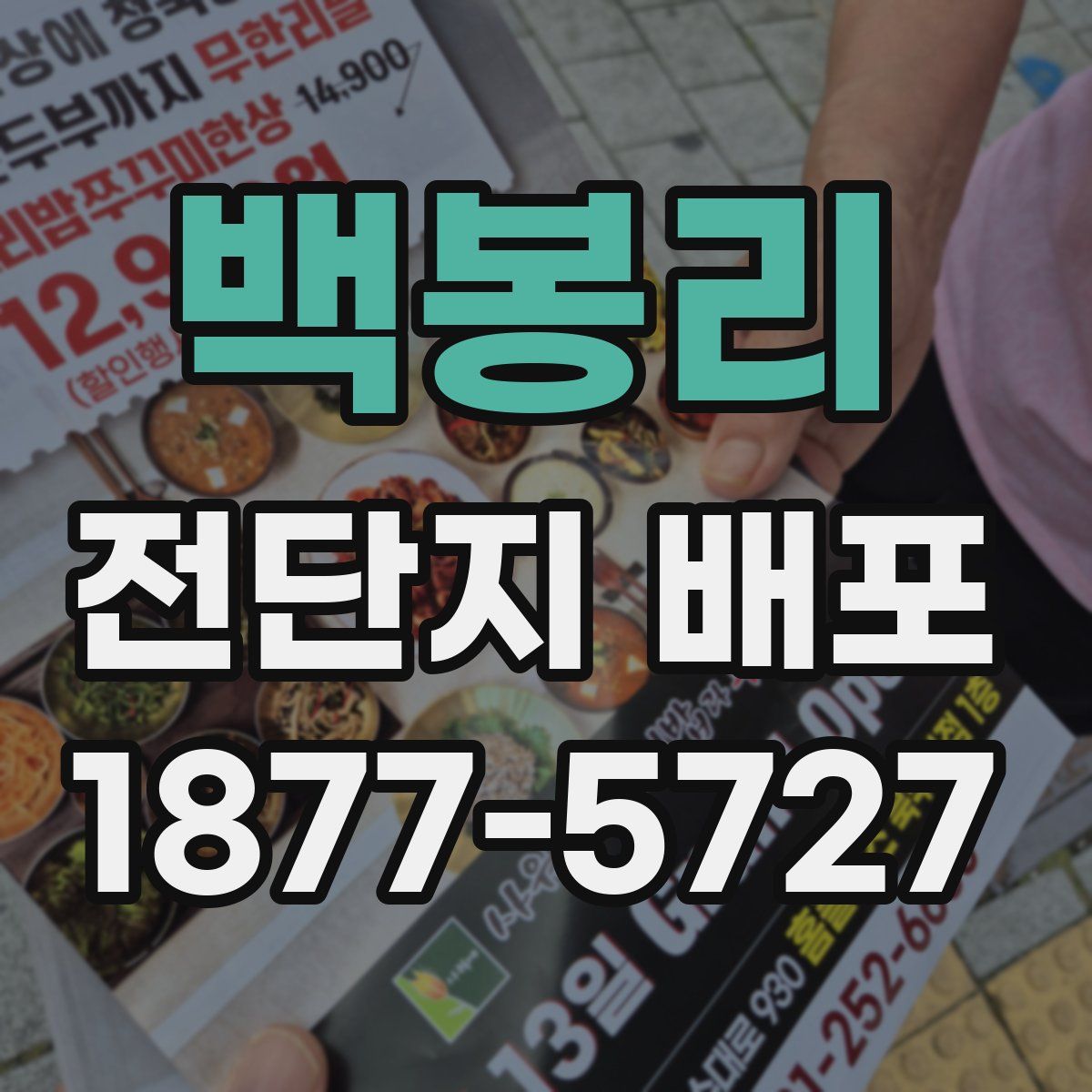 백봉리 전단지 배포