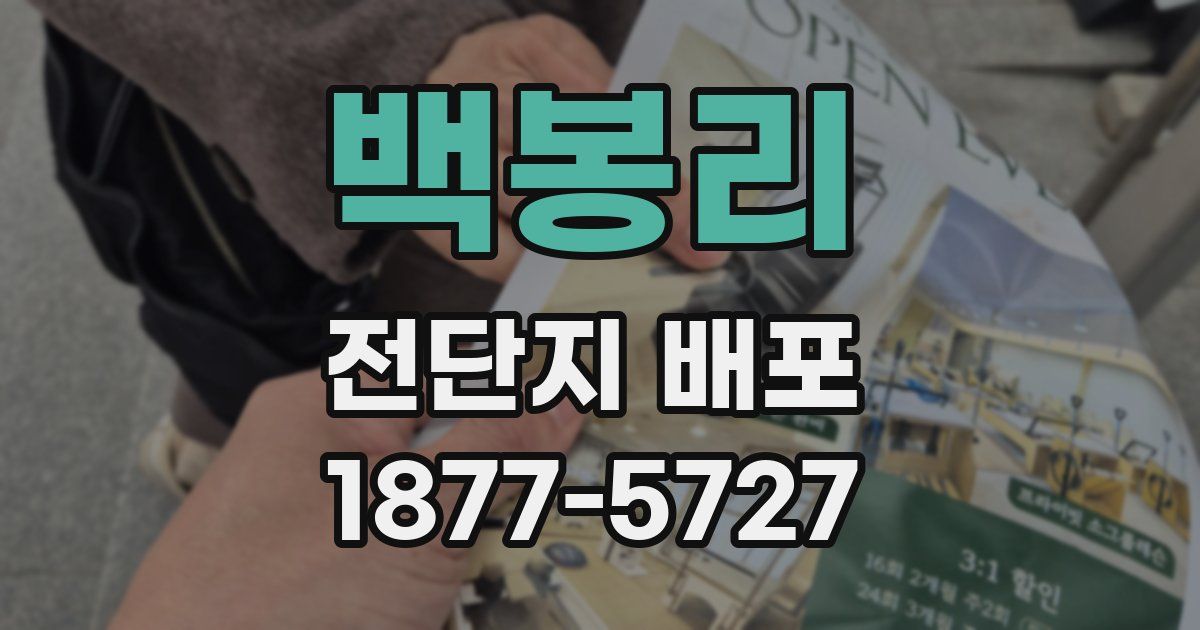 백봉리 전단지 배포