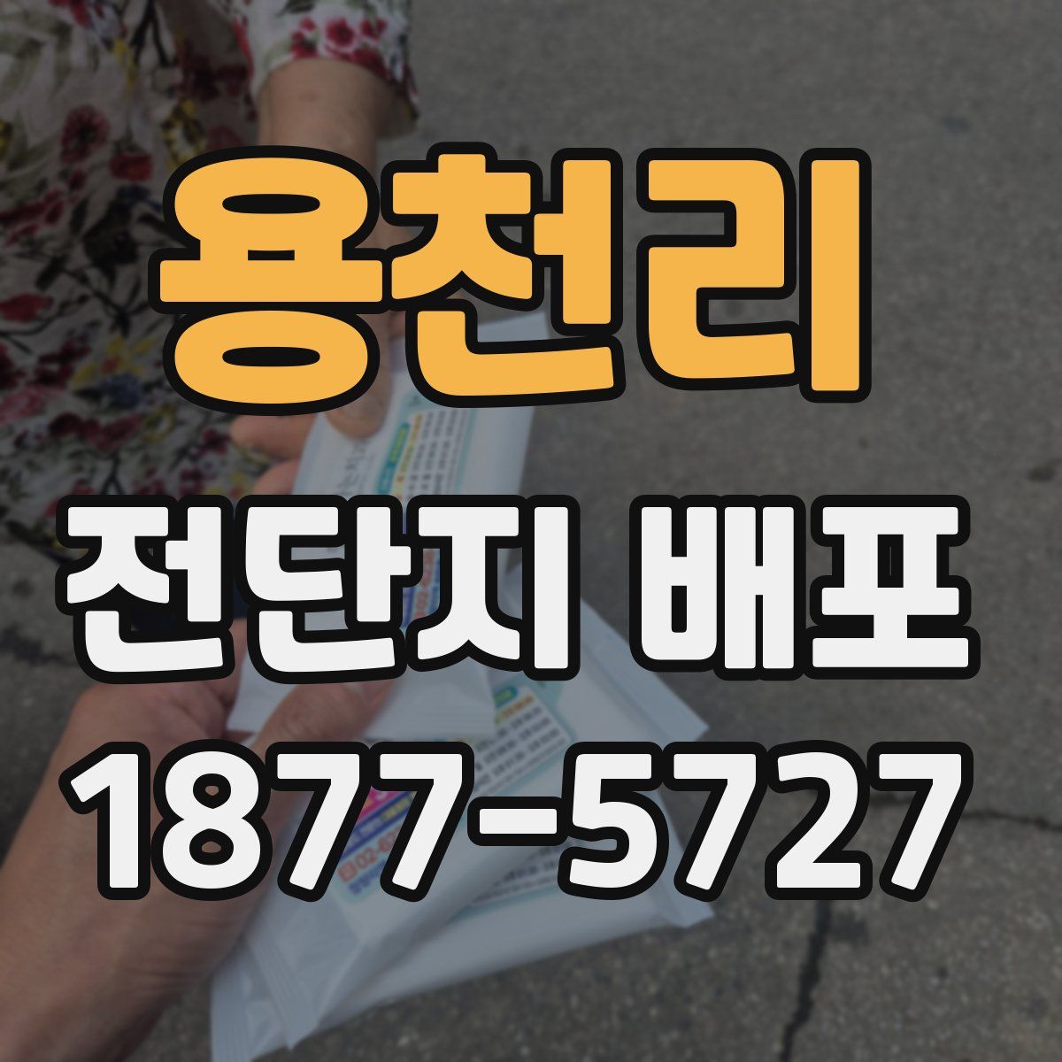 용천리 전단지 배포