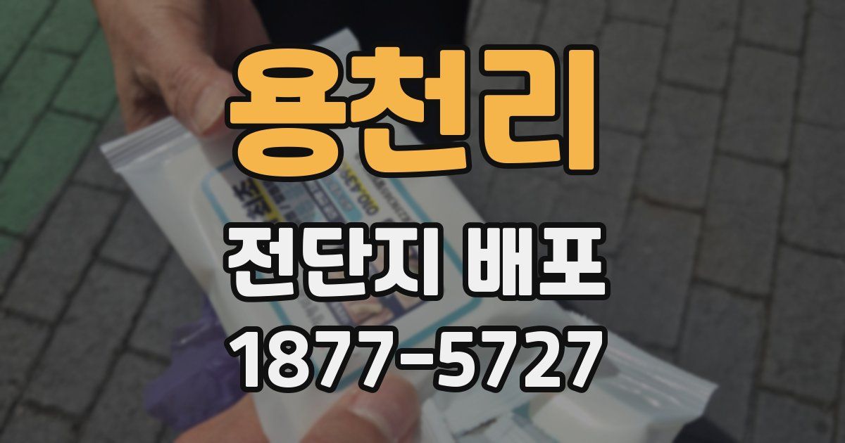 용천리 전단지 배포