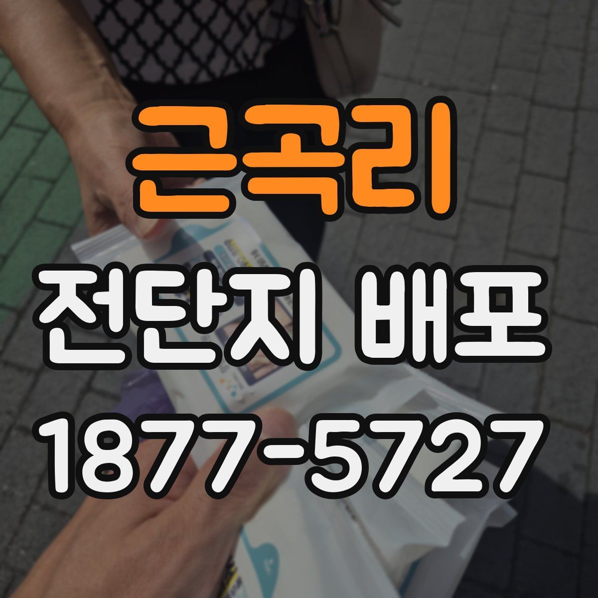근곡리 전단지 배포