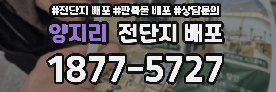 양지리 전단지 배포