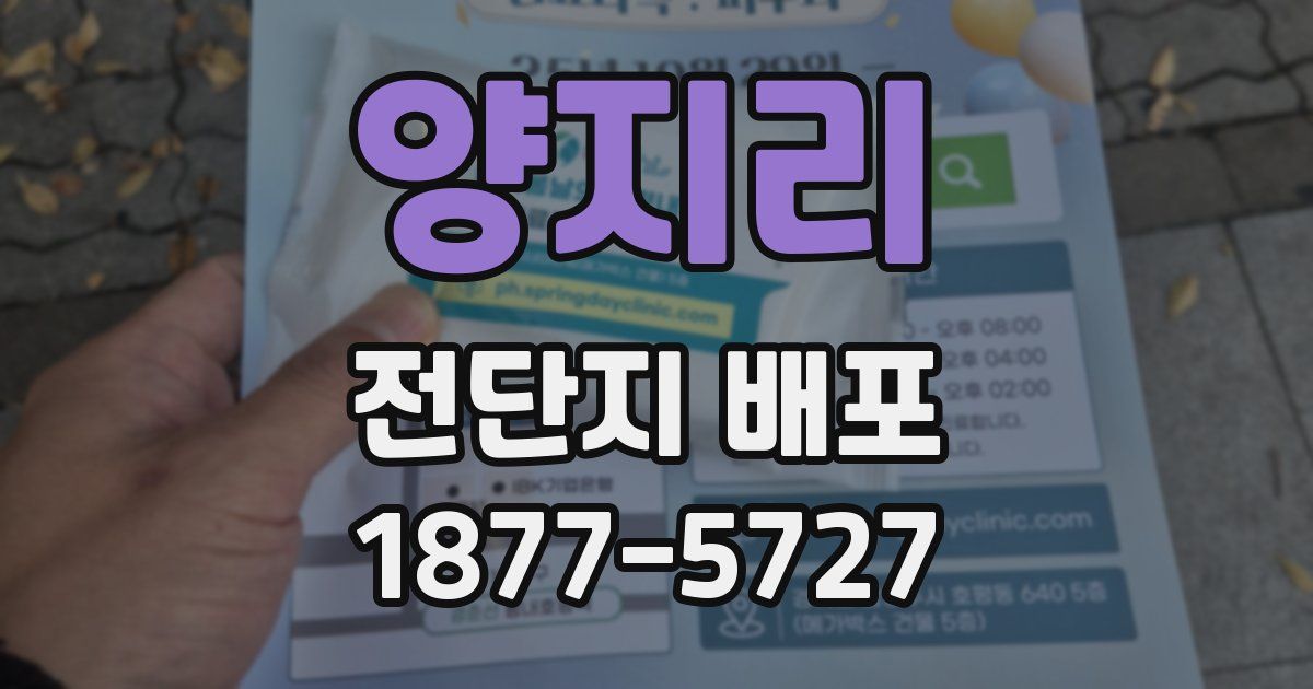 양지리 전단지 배포