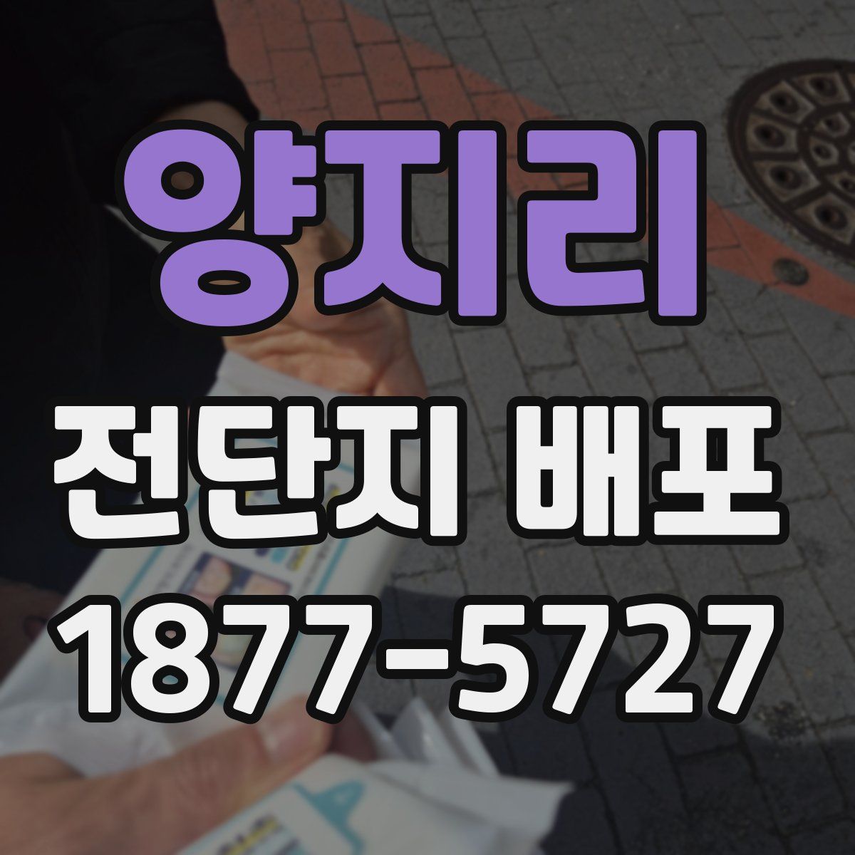 양지리 전단지 배포