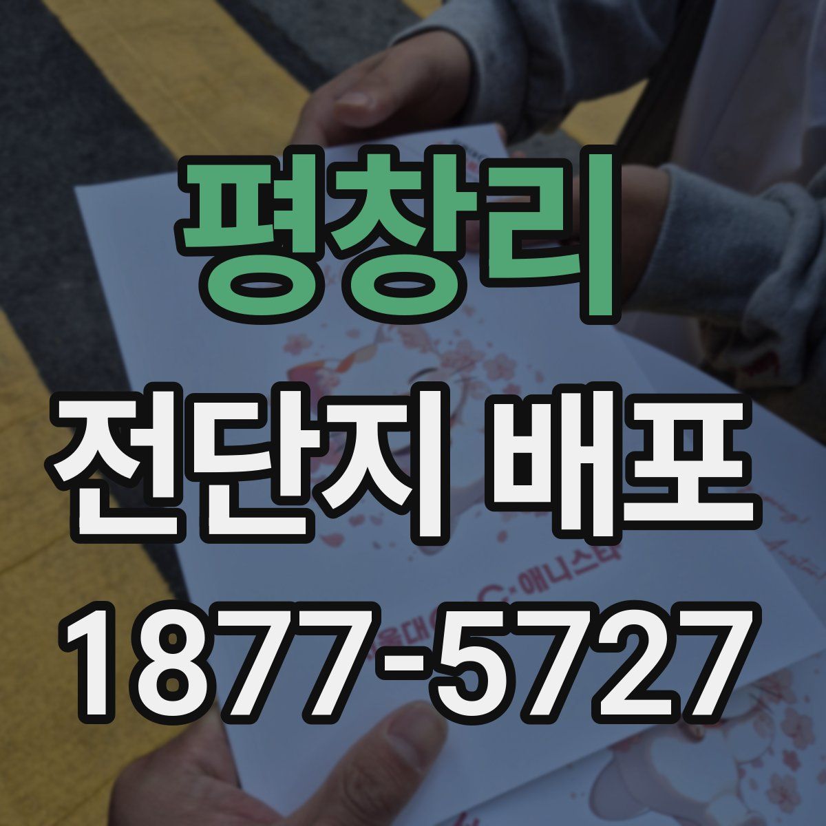 평창리 전단지 배포