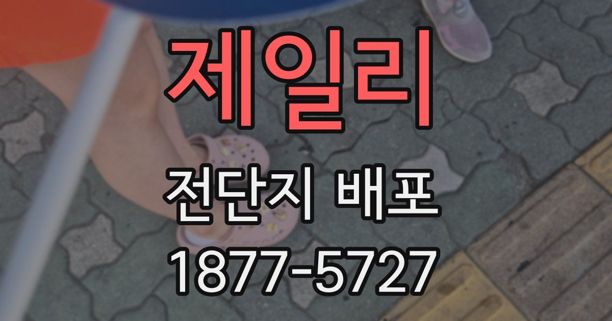 제일리 전단지 배포
