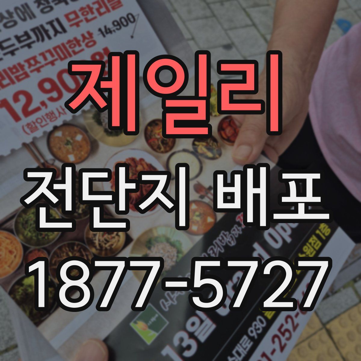 제일리 전단지 배포