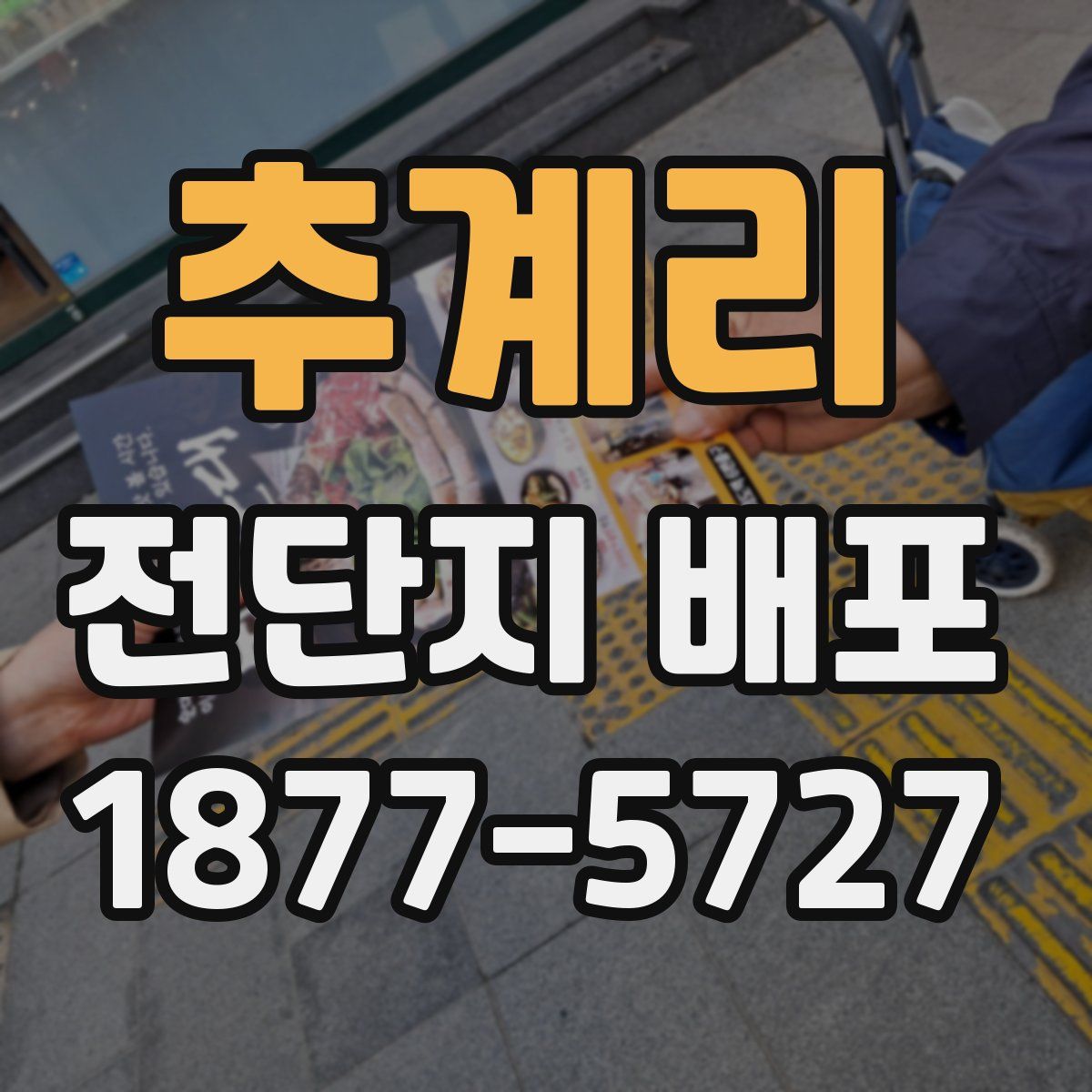 추계리 전단지 배포