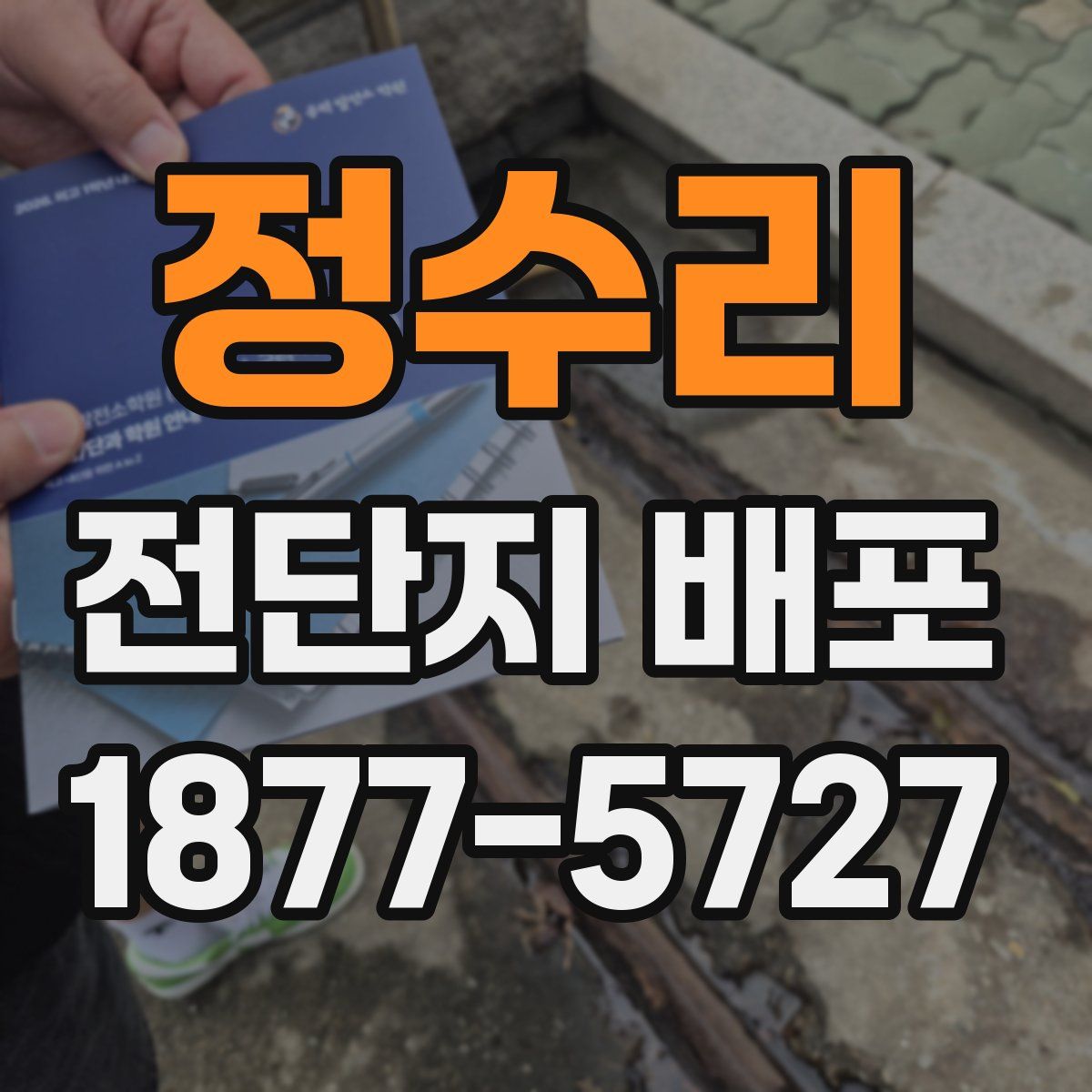 정수리 전단지 배포