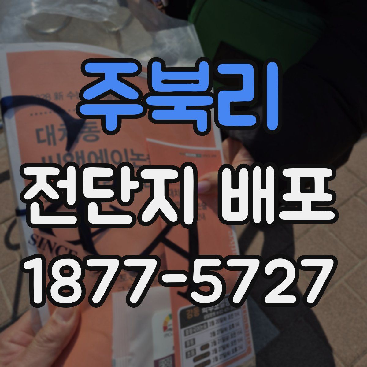 주북리 전단지 배포