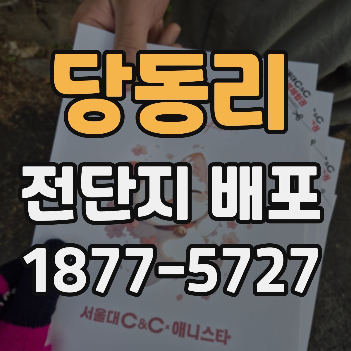 당동리 전단지 배포