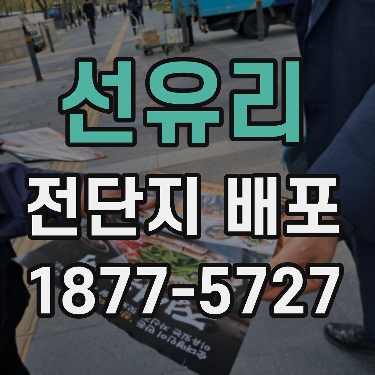 선유리 전단지 배포