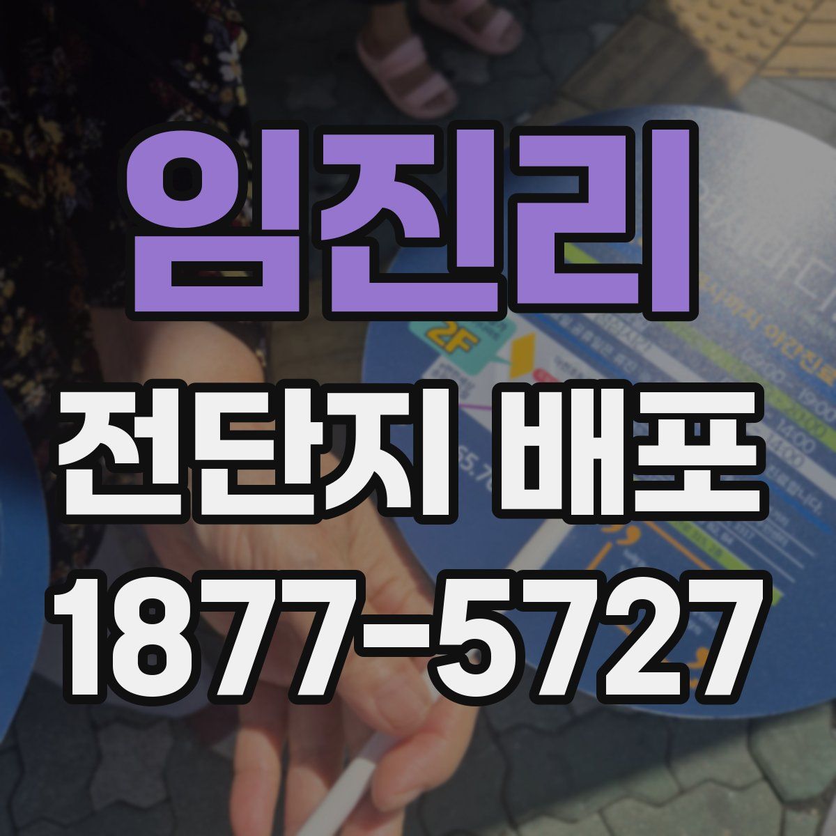 임진리 전단지 배포