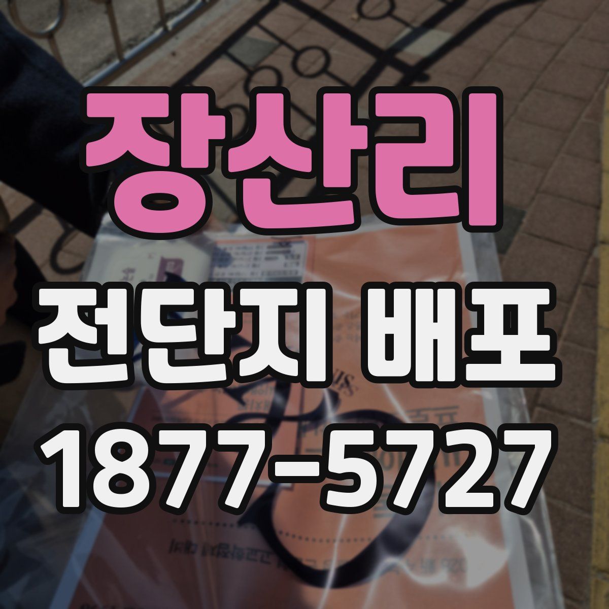 장산리 전단지 배포